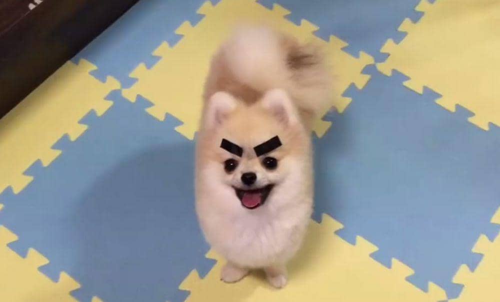 potret kelakuan unik di sebuah keluarga (twitter.com/ughHugs)