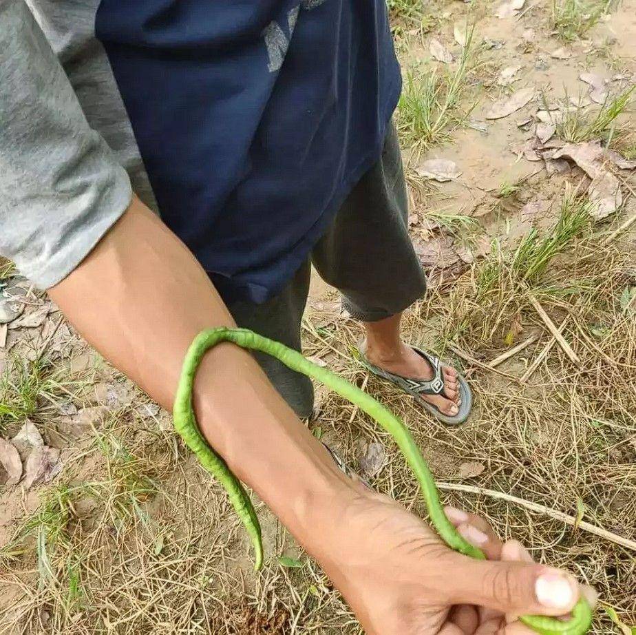 potret kocak awalnya menipu (instagram.com/bagihumor)