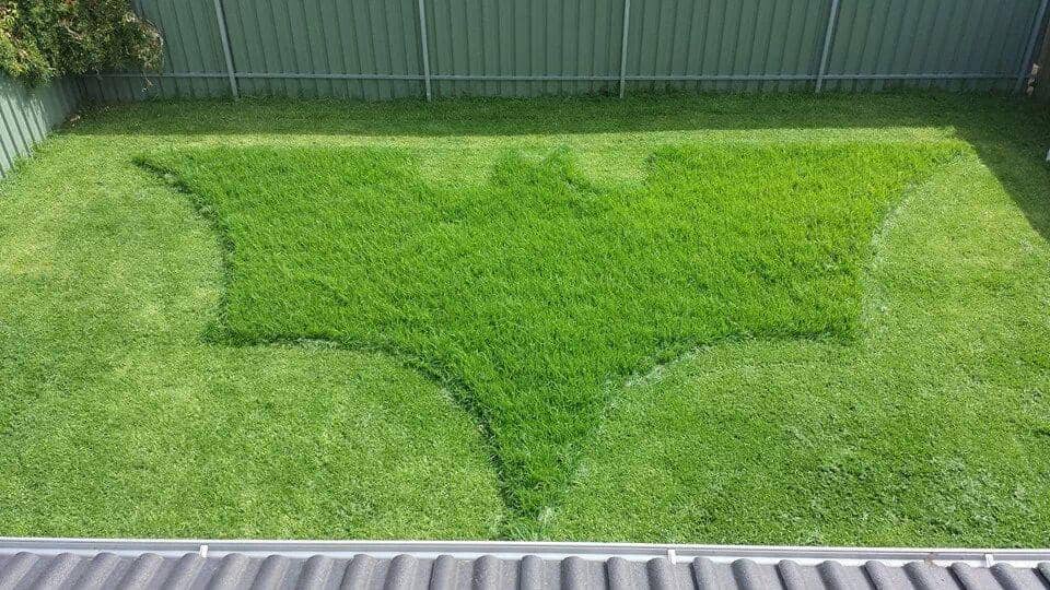 potret kelakuan unik di sebuah keluarga (reddit.com/user/Corncorn01)