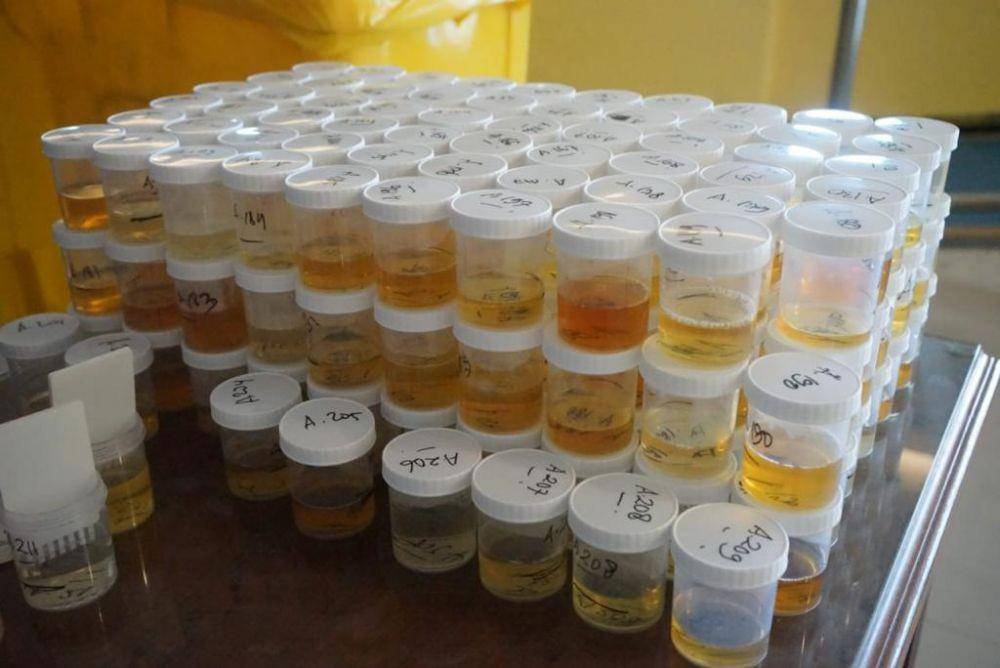 Tumpukan botol berisi urine dari pegawai Pelindo yang sedang diperiksa BNN Semarang. (IDN Times/Dok Humas Pelindo Pelabuhan Tanjung Emas Semarang)