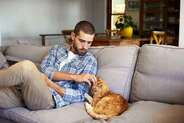 ilustrasi kedekatan kucing dengan manusia (istockphoto.com/Morsa Images)