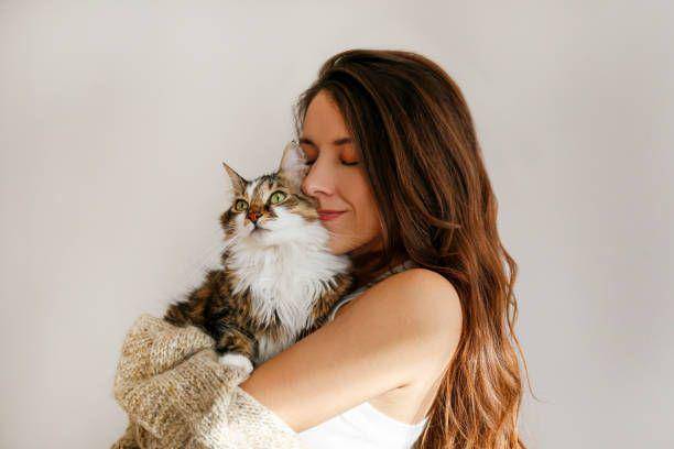 ilustrasi kucing dan pemiliknya (istockphoto.com/Evrymmnt)