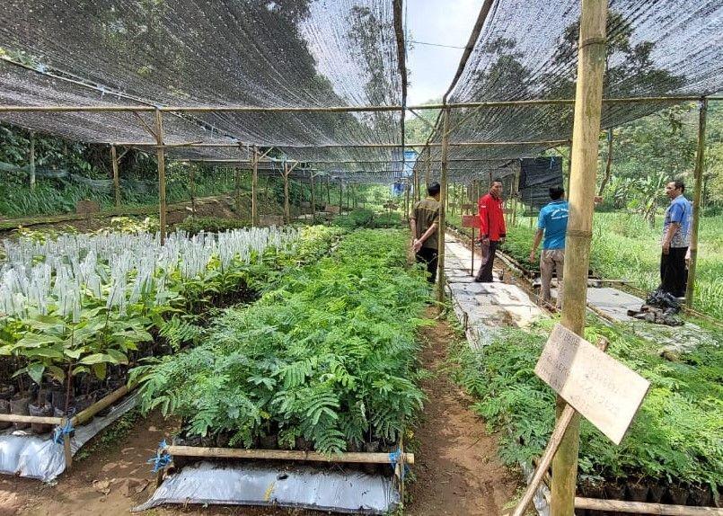 [OPINI] Penggunaan PLTS untuk Green House Kebun Bibit di Desa Manggihan Kabupaten Semarang