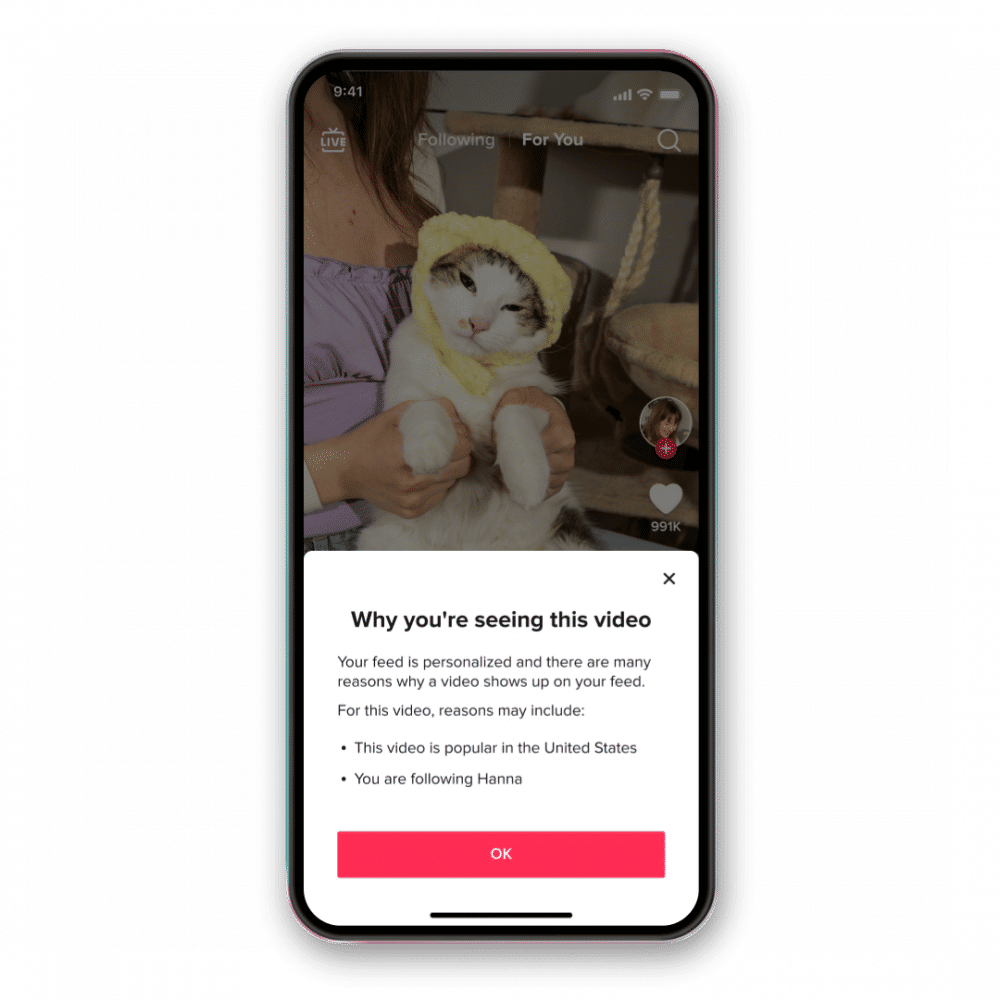 TikTok memberitahukan alasan rekomendasi video dengan fitur Why This Video. (Dok. TikTok)
