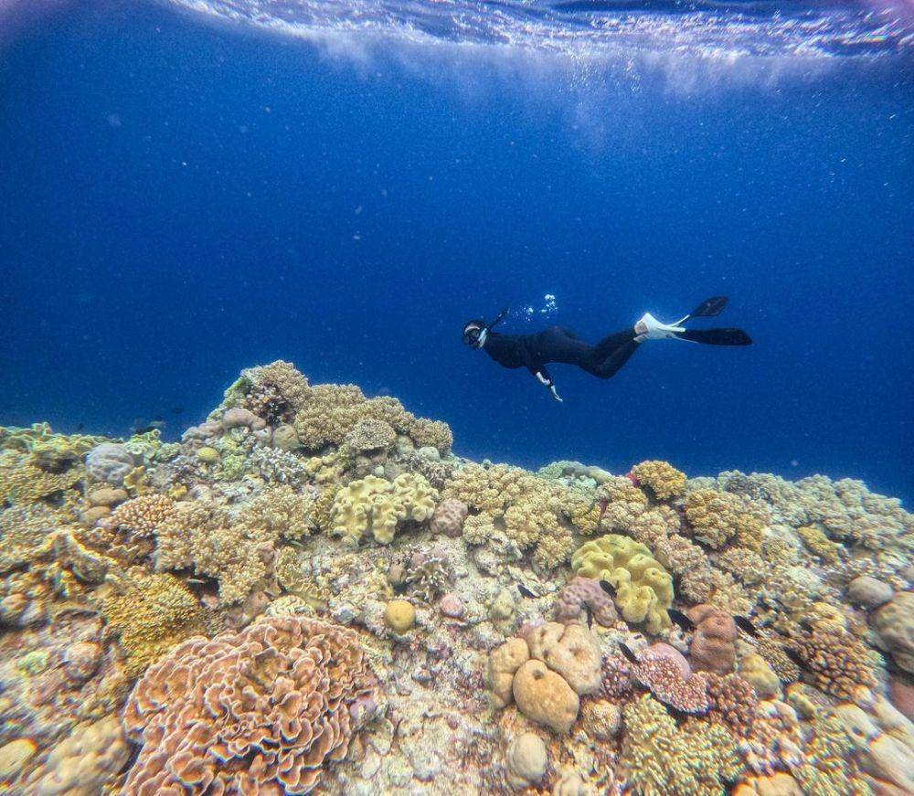 Potret Wakatobi (instagram.com/kharisma_wardhana)
