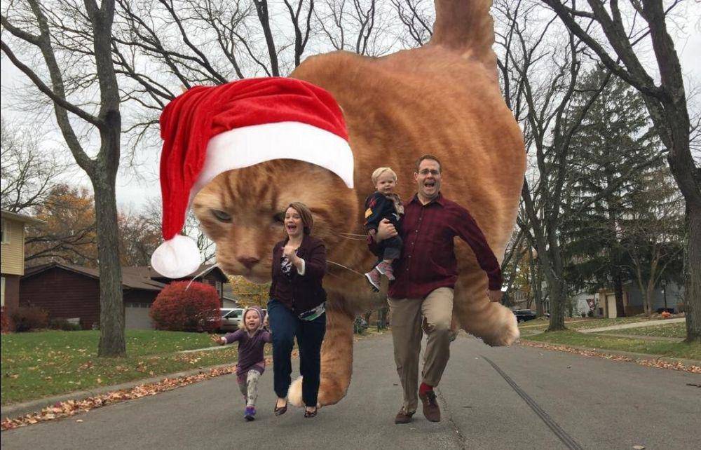 potret kocak foto natal keluarga (reddit.com/user/schankhaus)