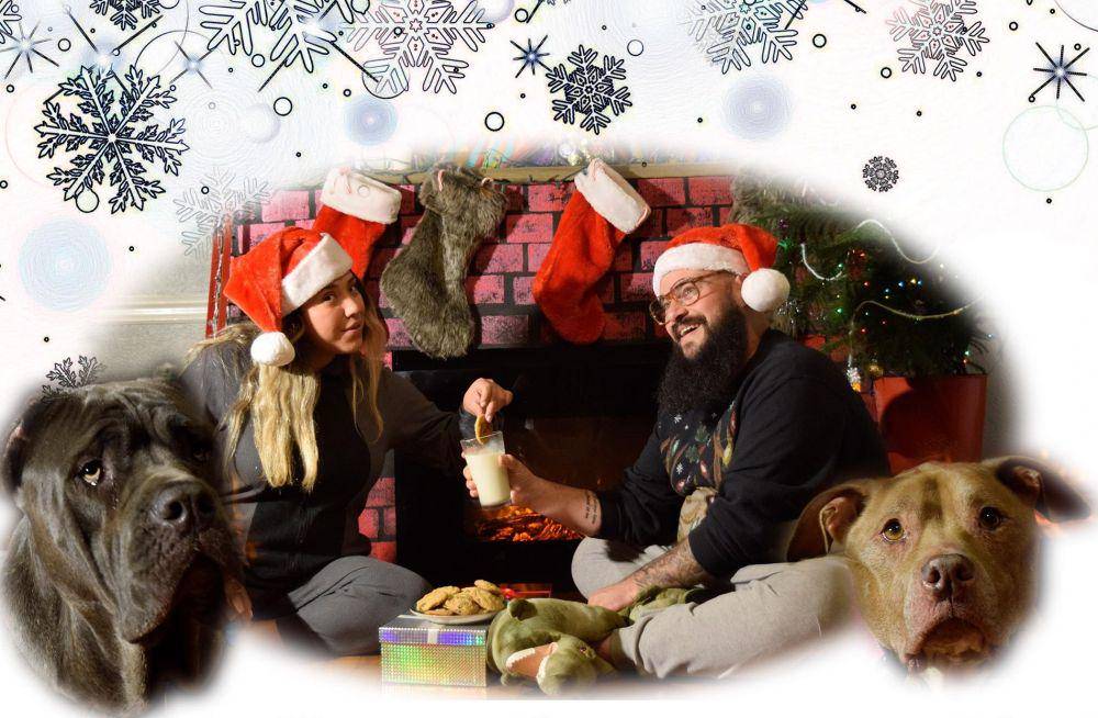 potret kocak foto natal keluarga (reddit.com/user/Cameltoefiasco)