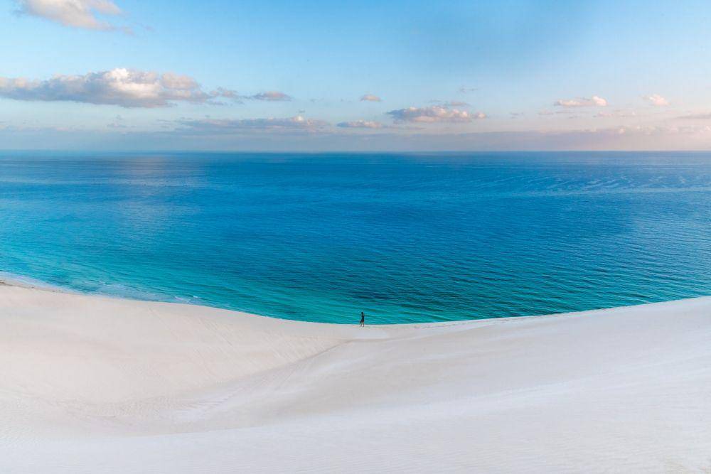 Pulau Socotra (unsplash.com/Andrew Svk)