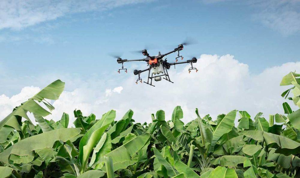 ilustrasi drone (pixabay.com/DJI-Agras)