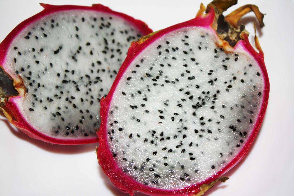 buah naga (pixabay.com/xxolaxx)