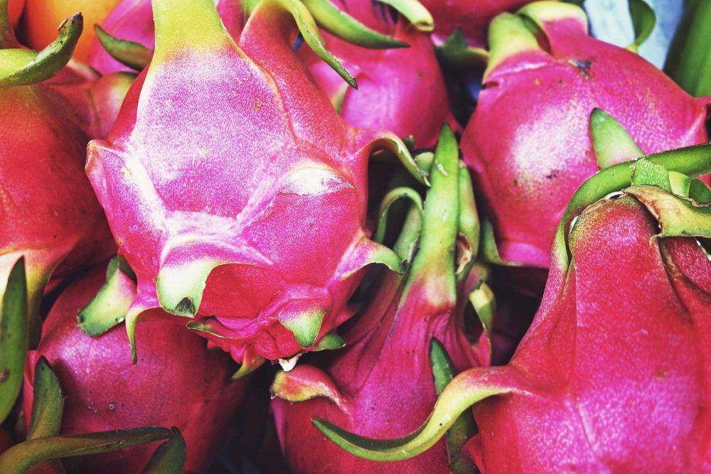 buah naga (pixabay.com/Republica)