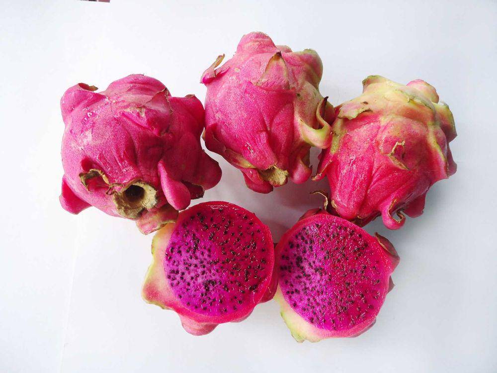buah naga (pixabay.com/Gracia31)