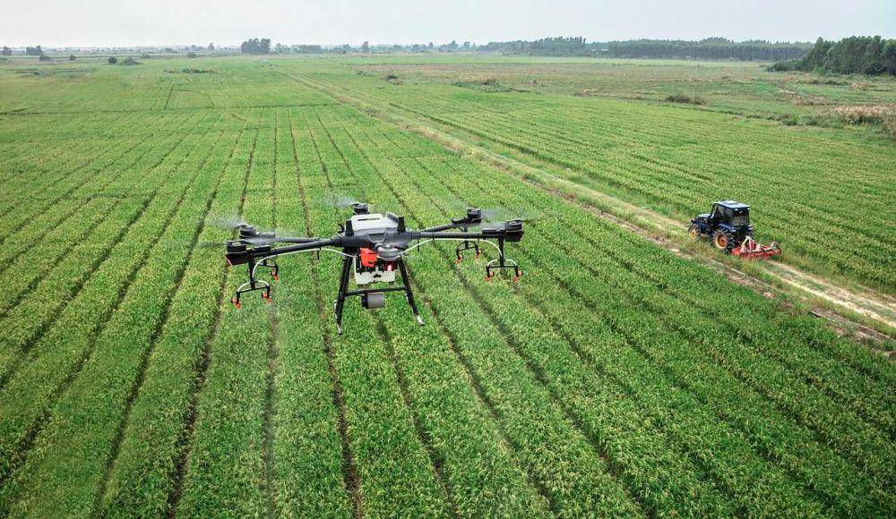 ilustrasi drone (pixabay.com/DJI-Agras)