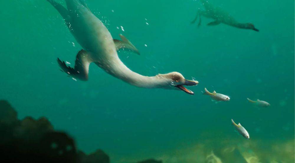 Natovenator polydontus (sputniknews.com)