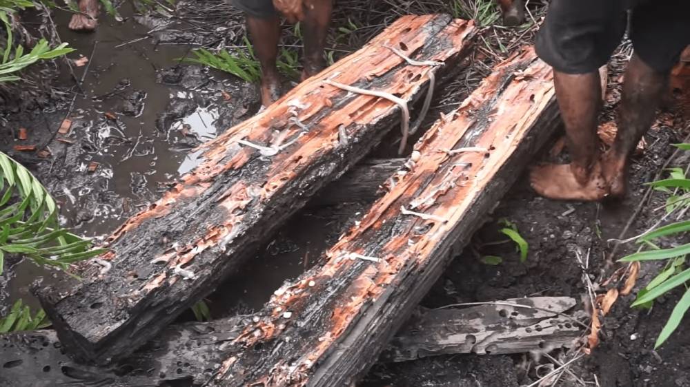 tembiluk di dalam batang kayu basah (youtube.com/Laode Chefenture)