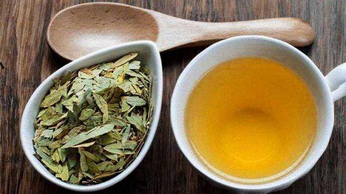 ilustrasi teh jati China atau Senna tea (teacurry.com)