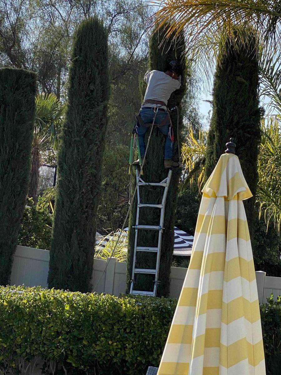 potret kecerobohan saat bekerja (reddit.com/user/jcholder)