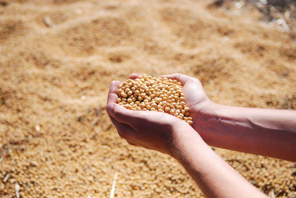 5 Bumbu Khas dari Berbagai Negara Ini Hasil Fermentasi Kedelai