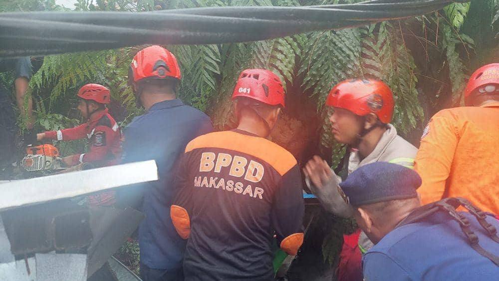 Angin Kencang, 5 Warga Tertimpa Pohon Tumbang di Makassar