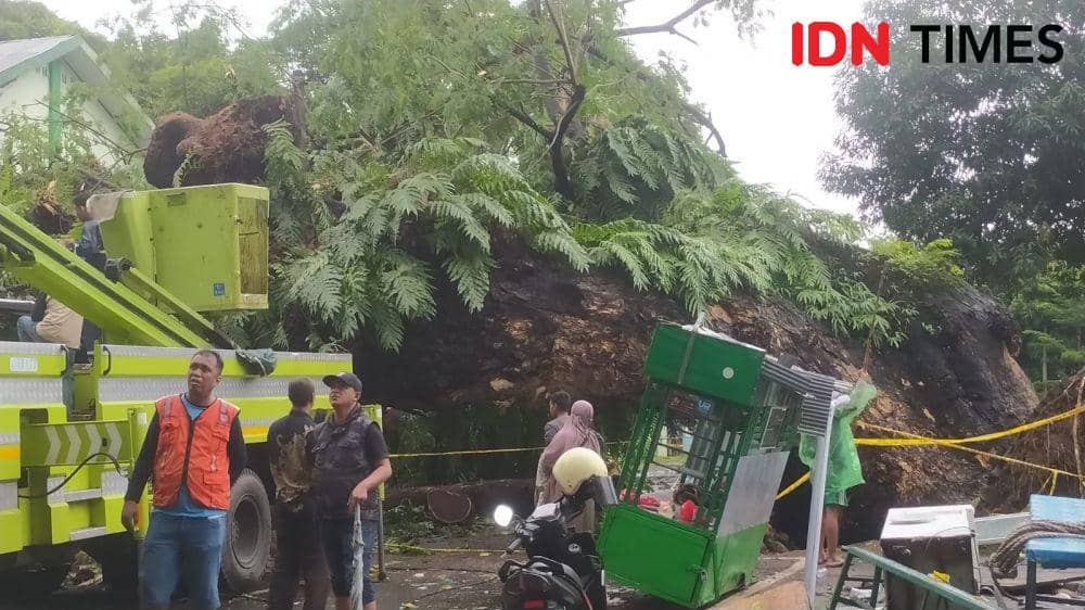 5 Korban Pohon Tumbang di Makassar Dirawat di Rumah Sakit