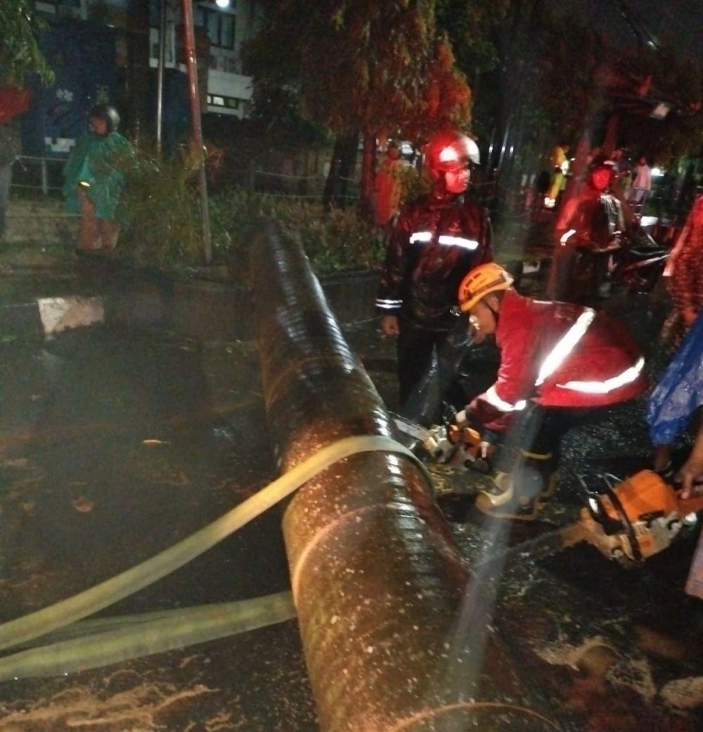 Antar Teman ke Rumah Sakit, Laki-laki di Denpasar Tewas Tertimpa Pohon