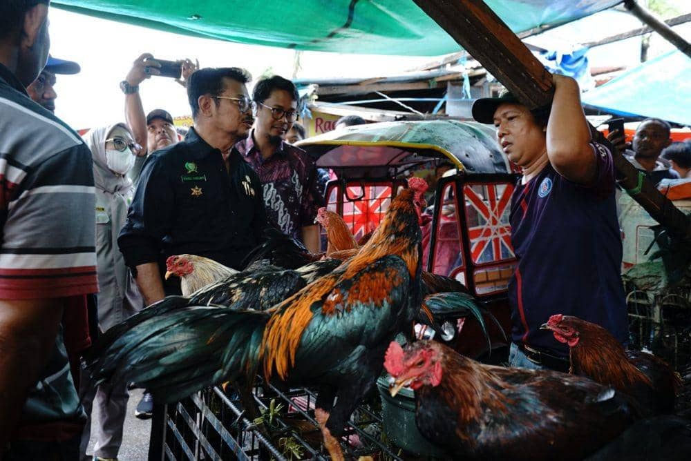 Pantau Bahan Pokok di Hari Natal, Mentan Sebut Ketersediaan Cukup