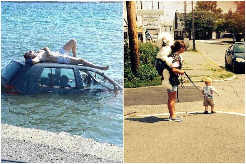 momen kocak orang gak berpikir sebelum bertindak (reddit.com/user/KevlarYarmulke | reddit.com/user/Ellamonster76)