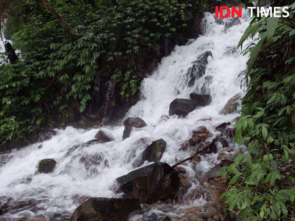 Taman Nasional Yangmingshan (IDN Times/Vanny El Rahman)