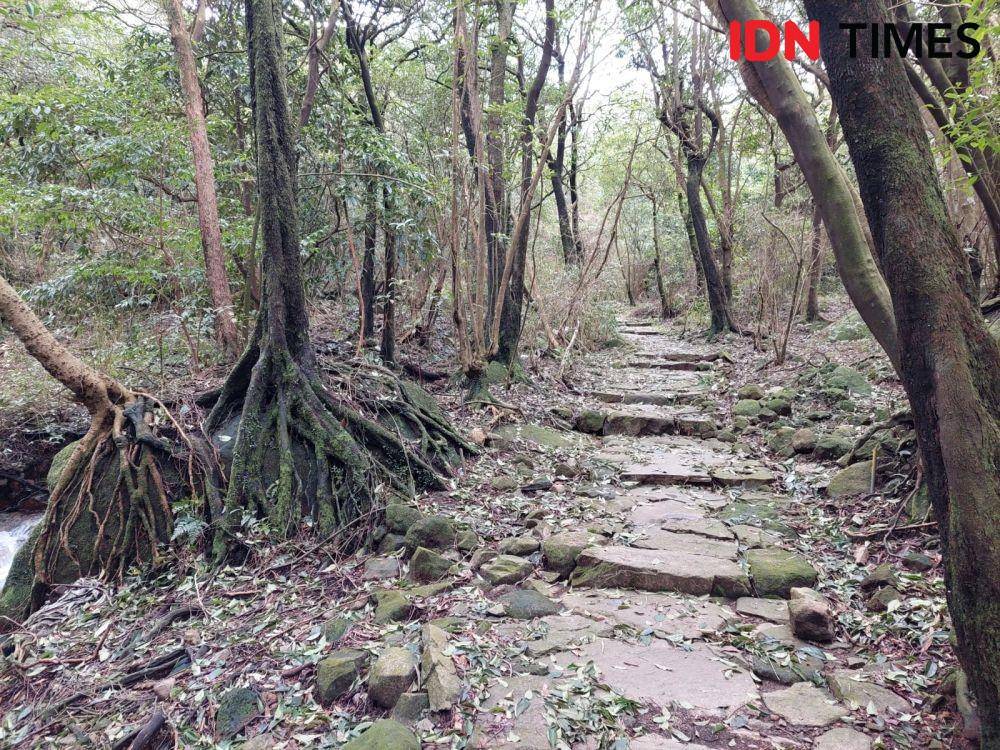 Taman Nasional Yangmingshan (IDN Times/Vanny El Rahman)