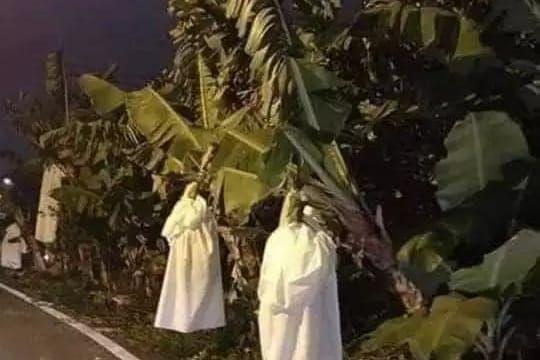 10 Penampakan di Pohon Pisang, Ada yang Ngeri tapi Ngikik