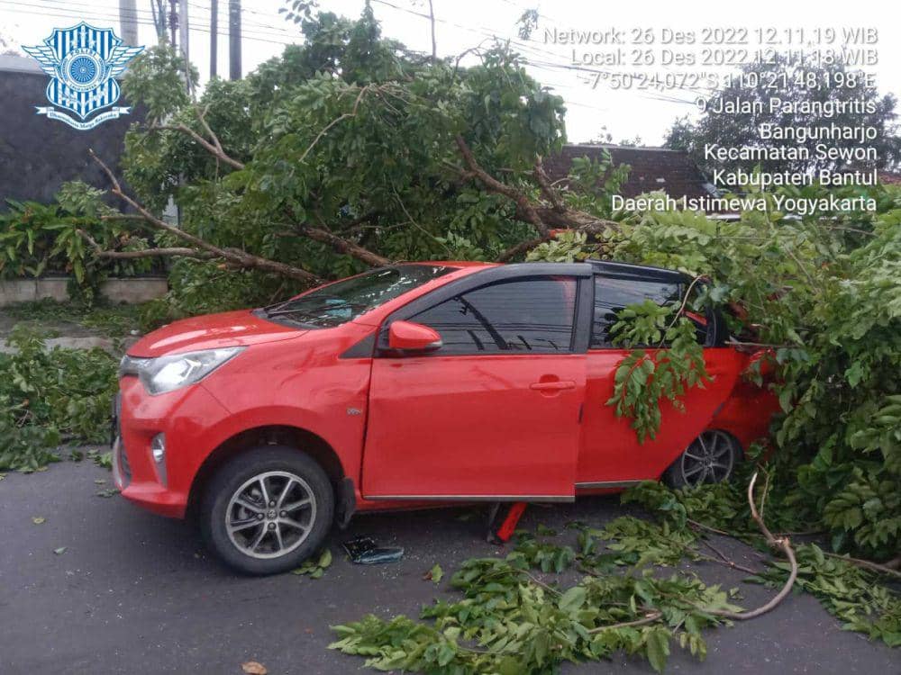 Pohon tumbang timpa mobil wisatawan. (Dok. Polres Bantul)