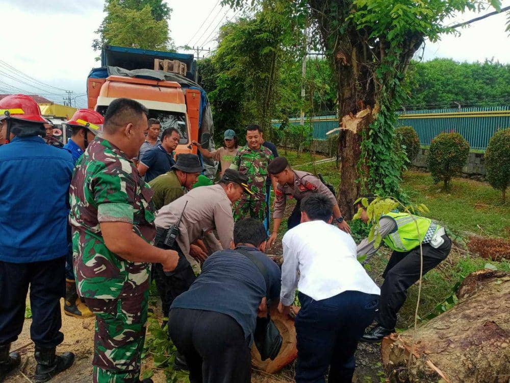 Evakuasi pohon yang tumbang. (Dok. Polres Bantul)