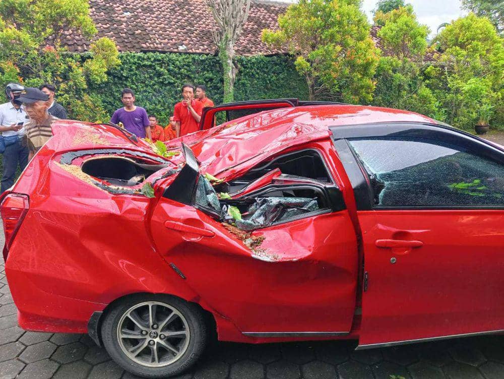 Pohon Tumbang Timpa Mobil Wisatawan di Jalan Parangtritis Bantul