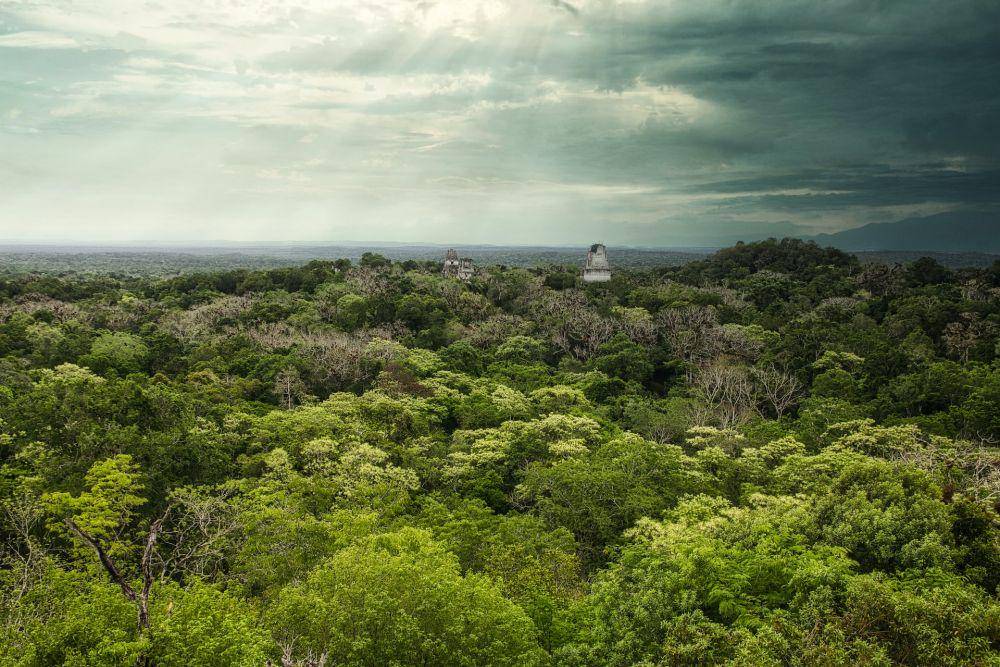 Tikal (unsplash.com/Isaac Quesada)
