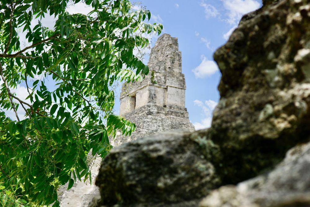 Tikal (unsplash.com/MarissaandEric)