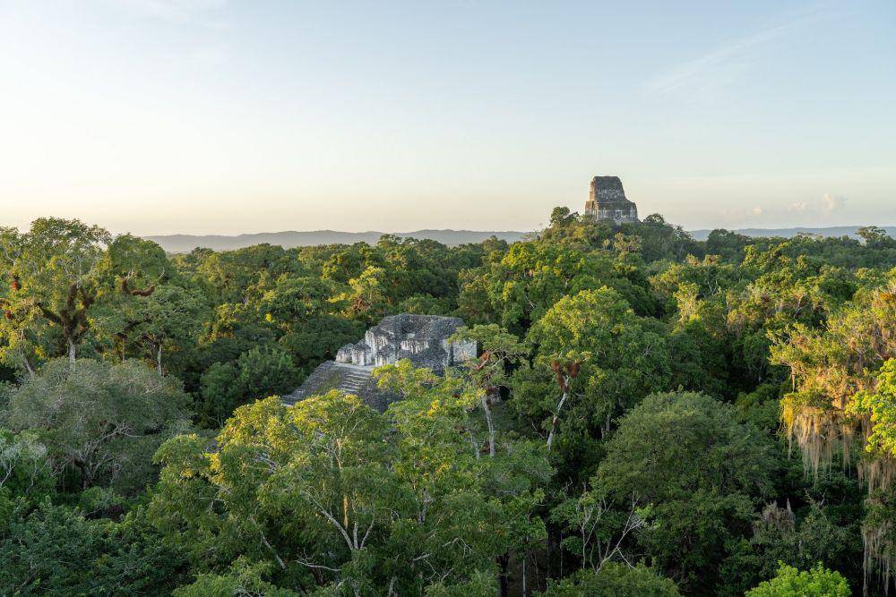 Tikal (unsplash.com/Paweł Wielądek)