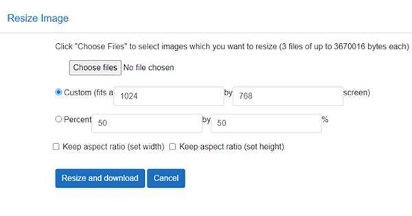 tampilan situs Resize-image