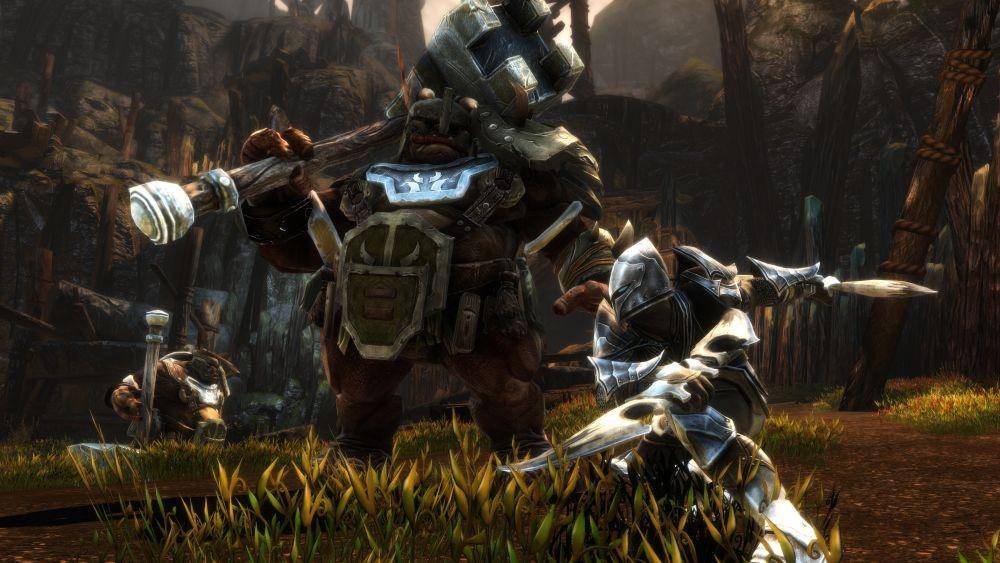 dok. Steam/Kingdoms of Amalur: Reckoning