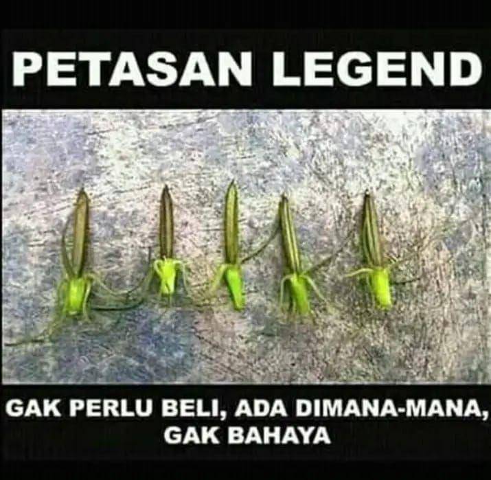 meme tentang petasan di tahun baru (facebook.com/Kumupulan Meme)