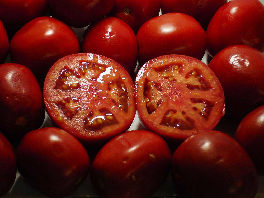 ilustrasi buah tomat merah (commons.wikimedia.org/Mostafameraji)