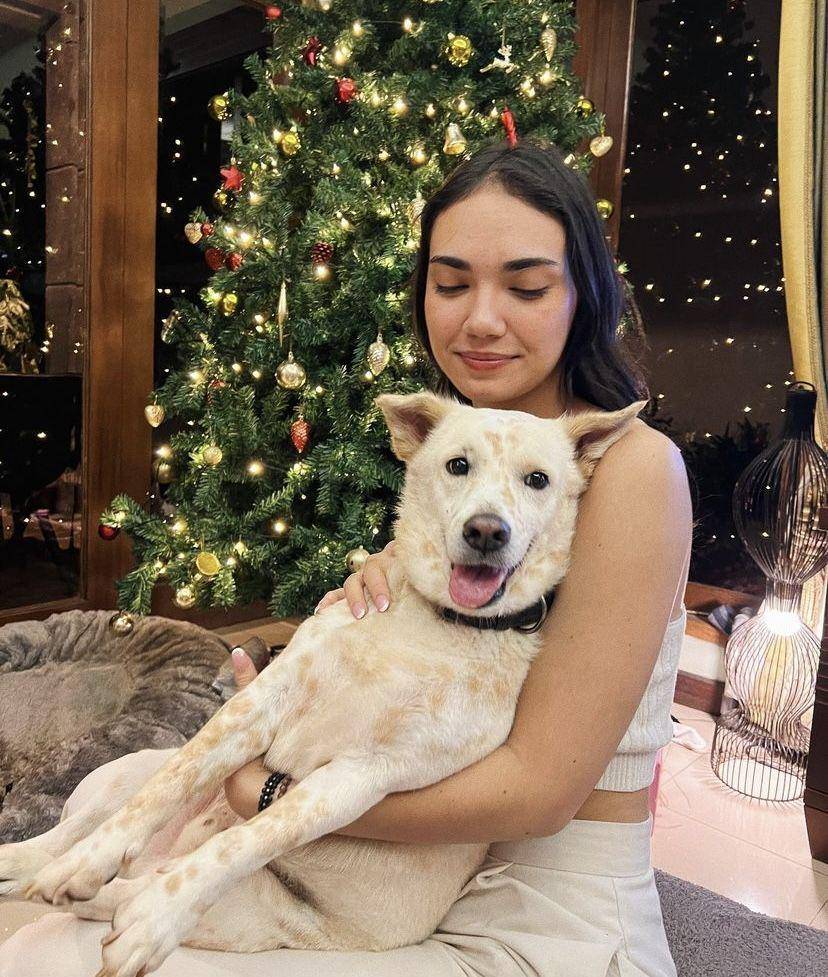 momen natal Haico Van der Veken (instagram.com/haico.vdv)