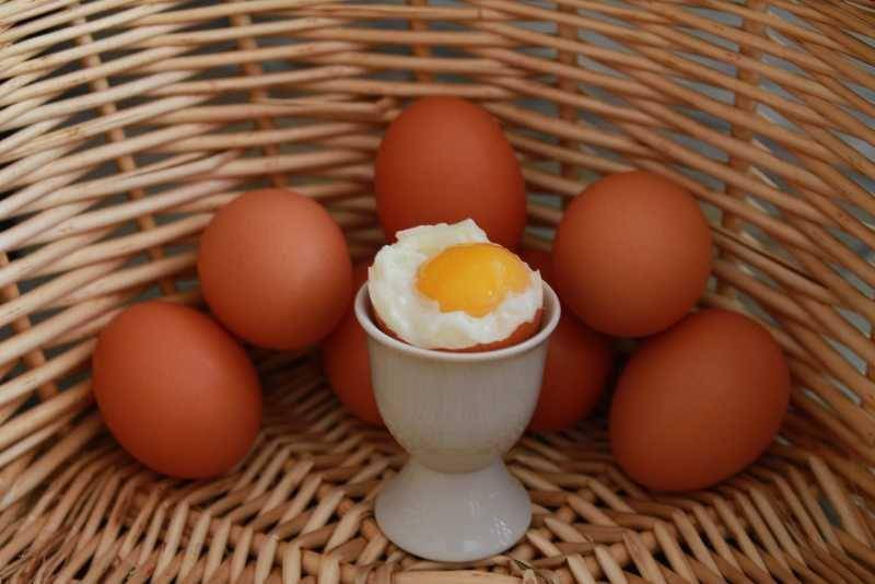 ilustrasi makanan tinggi protein (pixabay.com/LisaRedfern)