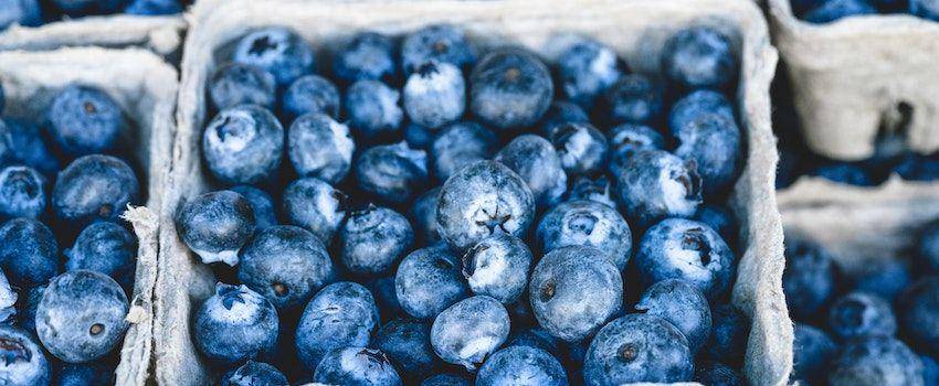 ilustrasi warna biru dari blueberries (pexels.com/veeterzy)