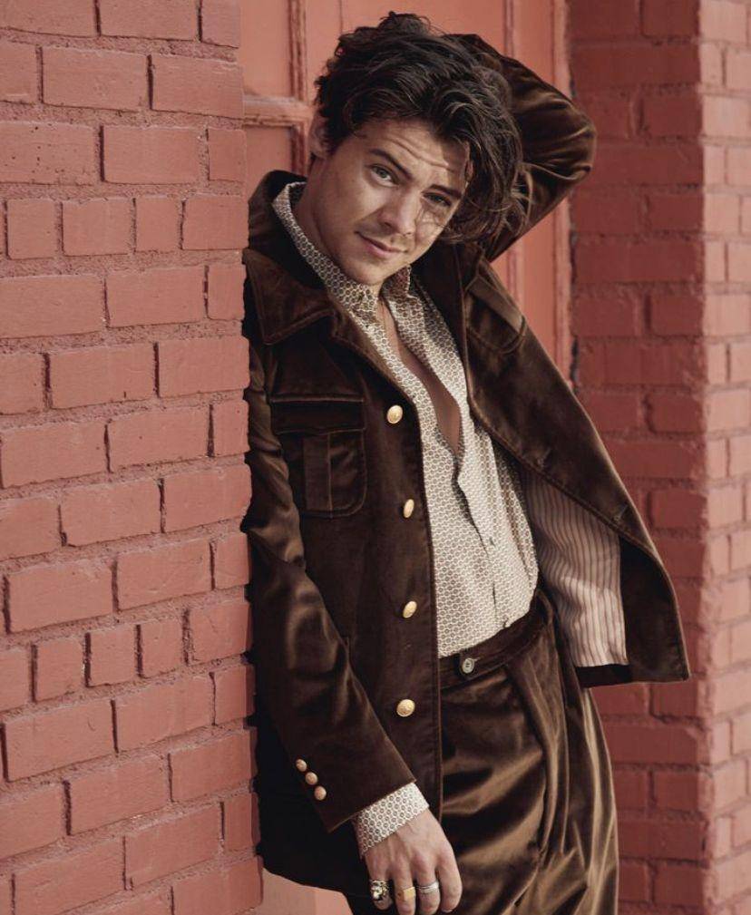 potret Harry Styles (instagram.com/hshq)