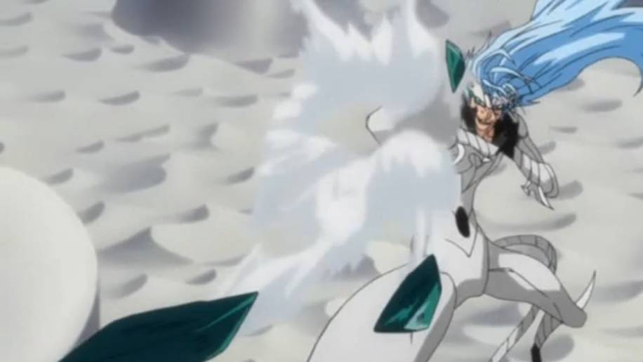Garra de la Pantera (dok. Pierrot/Bleach)