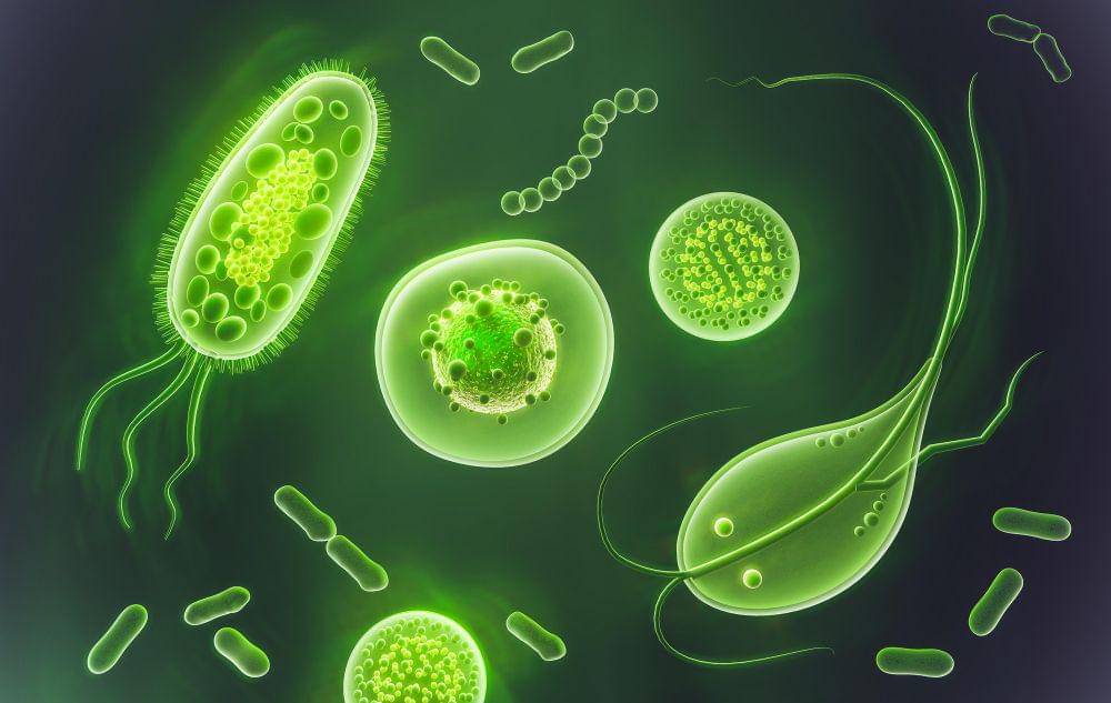 ilustrasi bakteri amoeba (freepik.com/freepik)