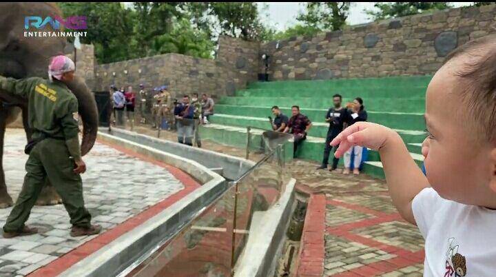 Rayyanza ke kebun binatang (youtube.com/Rams Entertainment)