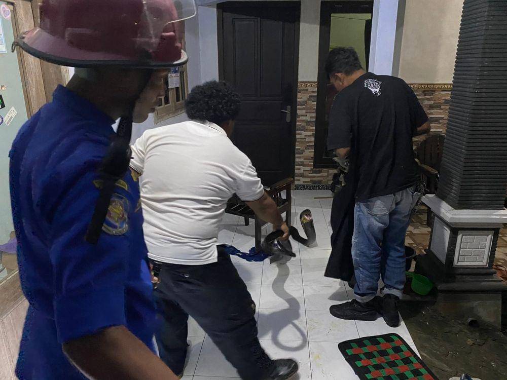 Petugas saat berusaha mengevakuasi ular king kobra di rumah warga. IDN Times/ istimewa