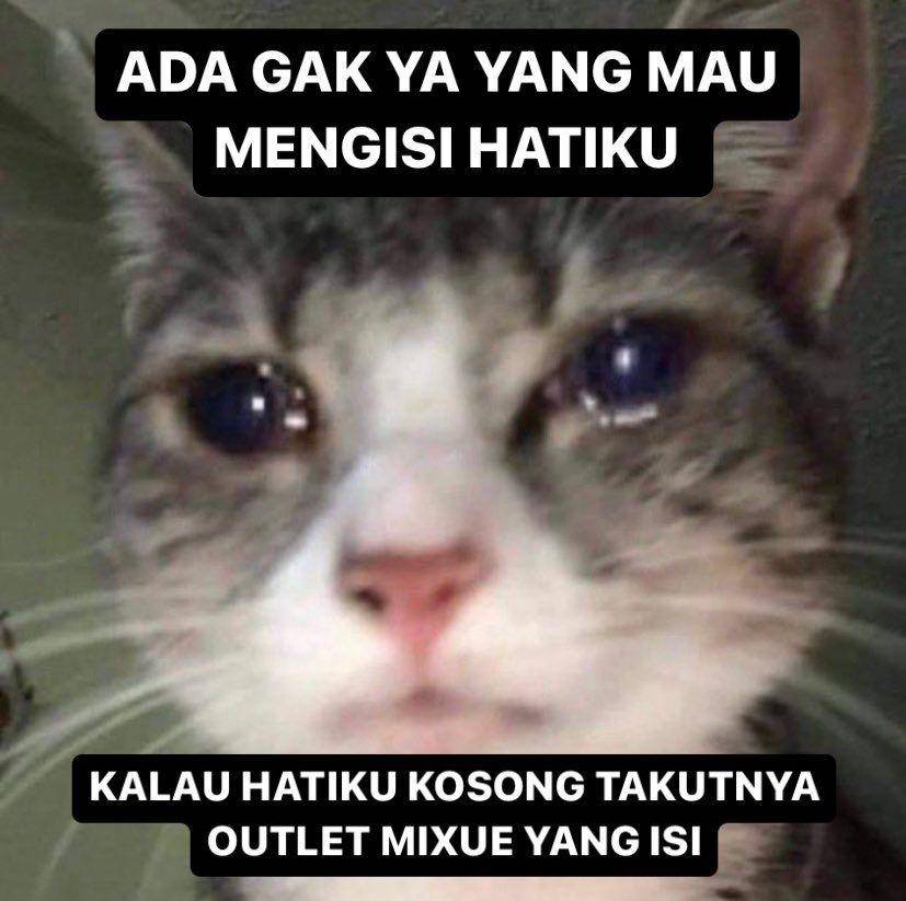 meme mixue kocak (twitter.com/termewdinamika)