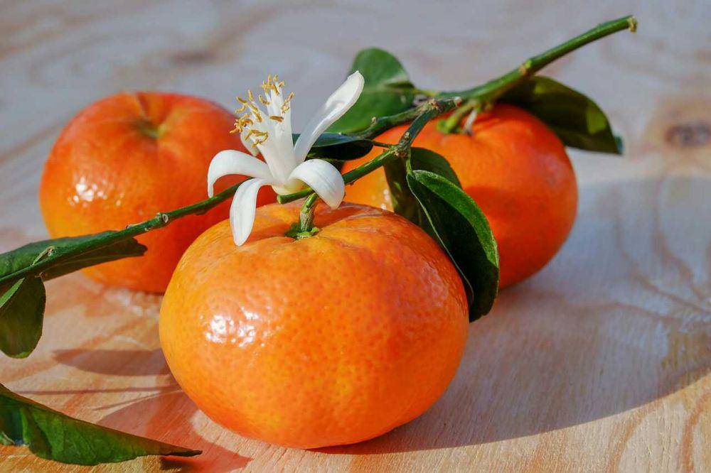buah jeruk (pixabay.com/Couleur)